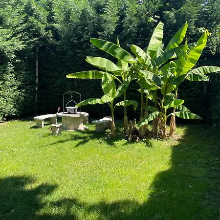 Gyoparosi Napsugar Vendeghaz Villa Orosháza Exterior photo